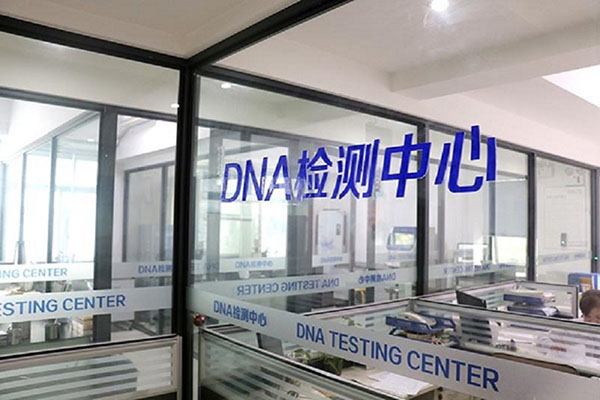 内蒙古惊人发现：哪些人体部位可以进行DNA检测？ 